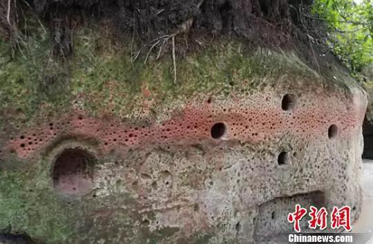 乐山大佛景区内一处满是孔洞的红砂岩壁。　钟欣　摄