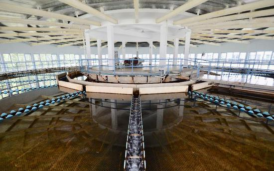 8月9日，第九水厂机械加速沉淀池，主要作用是解决原水浊度。新京报记者 郑新洽 摄