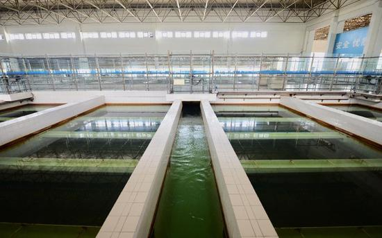 8月9日，第九水厂厂房。新京报记者 郑新洽 摄