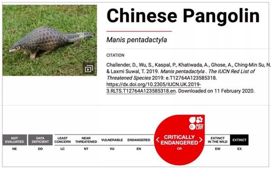 中华穿山甲在 IUCN 红色名单的等级