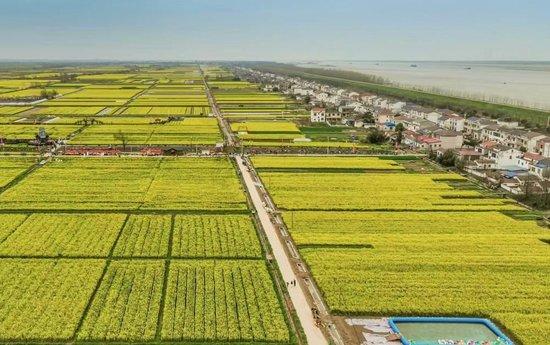 这是湖南省临湘市江南镇长江村的油菜花海（2024年3月摄）。（舒学海 摄）