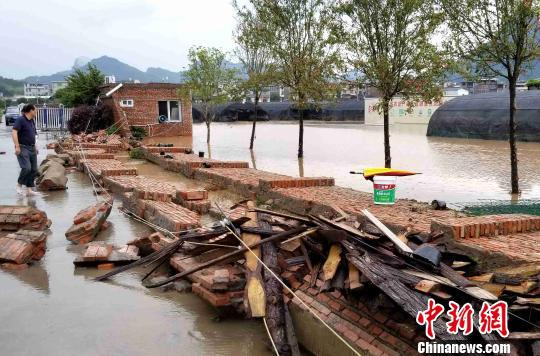 图为连城揭乐乡连天福铁皮石斛种植基地受灾严重。　黄水林 摄