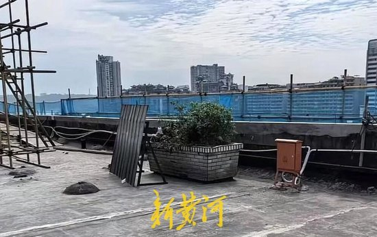  （曾经天台花坛的照片）