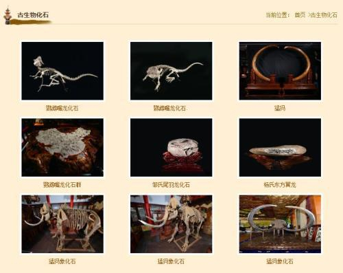  “黑龙江曹园文化投资有限公司官网”截图