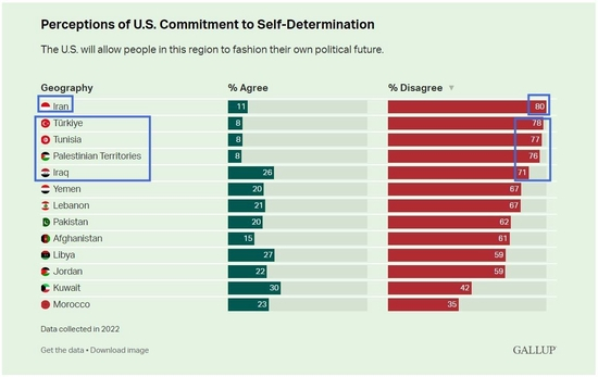  △盖洛普民调截图