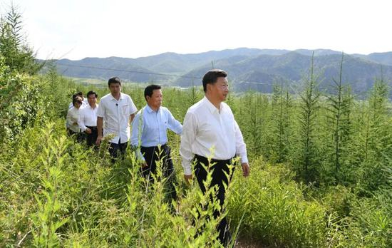  习近平深入喀喇沁旗林场农村考察调研