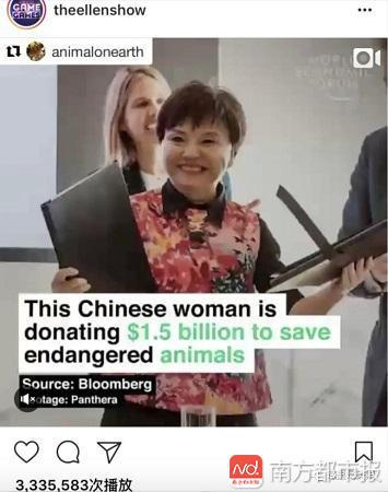彭博社报道何巧女捐助巨款新闻。