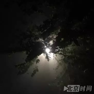 网络图片