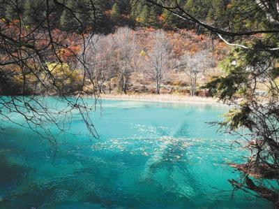 2017年11月12日，四川九寨沟，“双龙海”一角。去年九寨沟地震，火花海出现决口，与下游双龙海合二为一，决口处形成新巨型瀑布，被暂称“双龙海瀑布”。图/视觉中国