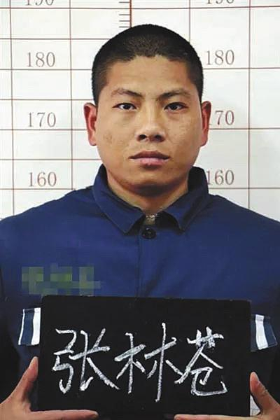 张林苍因犯脱逃罪，加上其此前曾因犯运输毒品罪，数罪并罚，决定执行无期徒刑。