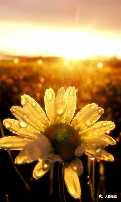 （图片来源于网络）