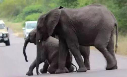 这样的氛围使得人们对打着宗教名义的非法意图缺少防备心。