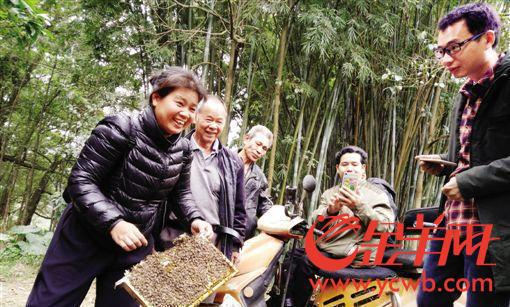 在养蜂场，不怕蜂蜇的娇姐（左一）徒手提起了蜂巢。