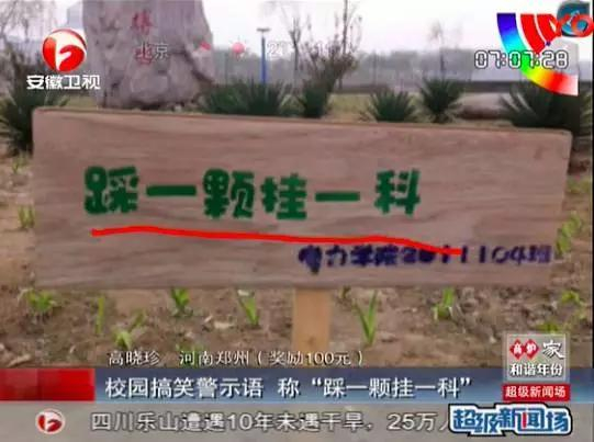 截图来源：安徽卫视