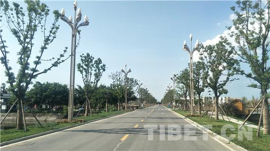 图为友谊村景区内的主路