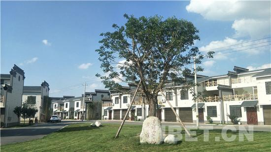 图为村内的幸福家苑