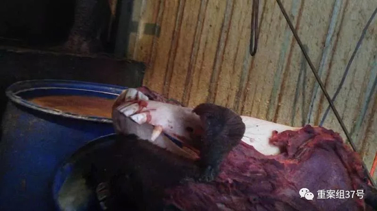 ▲2018年1月7日中午，河间市黎民居乡窦庄村一假驴肉加工黑作坊内，蓝色大桶内装着煮制假驴肉的高汤，另一桶内是马头，用来作“驴头肉”。 新京报记者 大路 摄