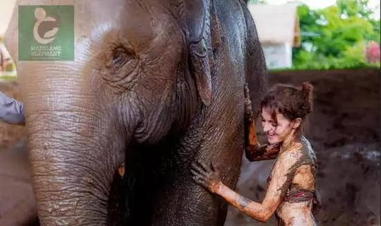 ▲庇护所里，大象可以享受泥巴浴 受访者提供