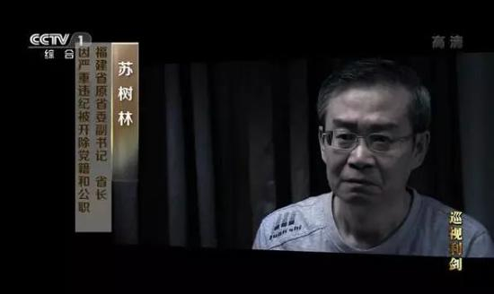 苏树林在中纪委专题片中。