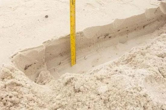 　　▲墨西哥湾“深水地平线”钻井平台爆炸后泄漏的原油已经冲上沿岸海滩，深入内部。（图自：《美国国家地理》）