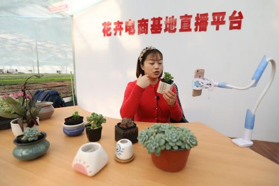 创业园内的工作人员在进行花卉电商直播。