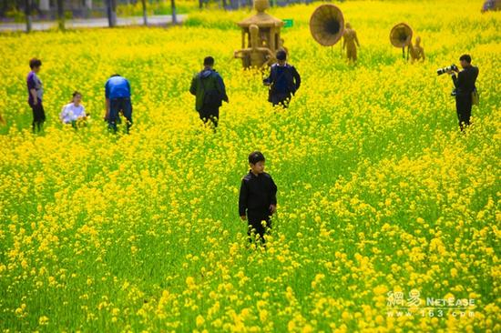代村的国家农业公园一角。
