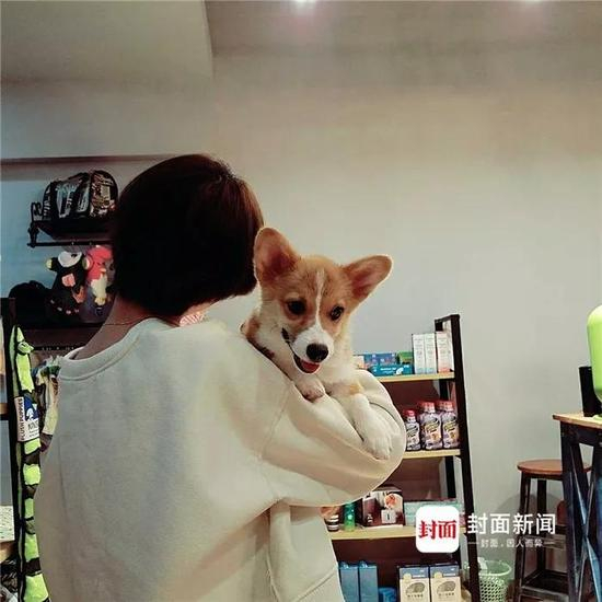 ▲来源：封面新闻