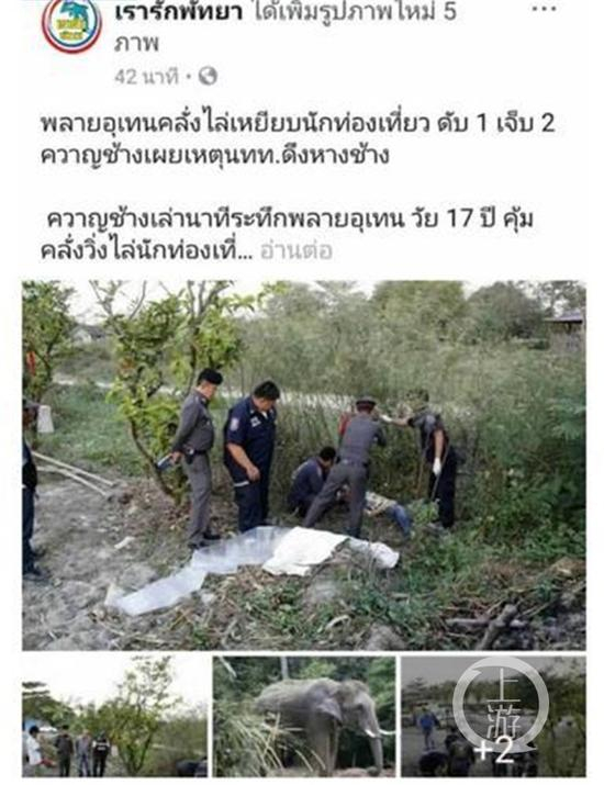 泰国媒体报道截图