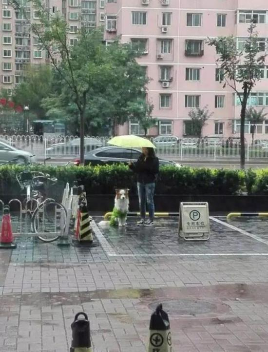 这世界总有人爱着你。