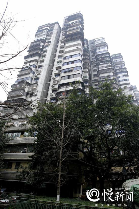 △从底层往上到24层，没有电梯