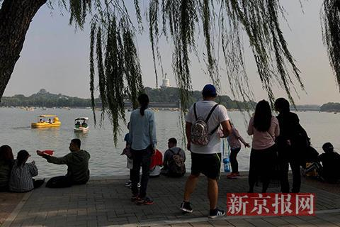 游客们在园内游览。