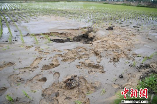 震区部分地区地面出现沙坑　张瑶　摄