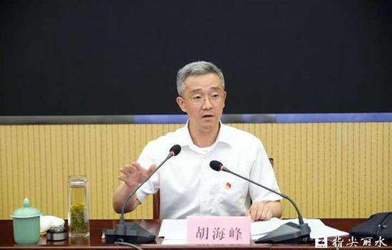 丽水市委书记胡海峰 指尖丽水 图