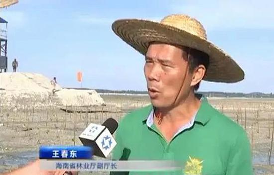 权力任性的厅官