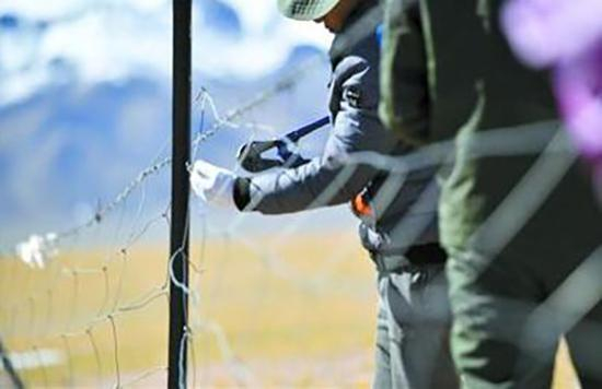 西藏那曲市尼玛县林业公安在拆除网围栏。