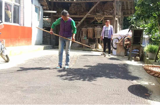▷ 杨信金妻子在晾晒自家地里收来的黑芝麻
