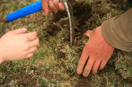 资料图 | 图片来源于网络