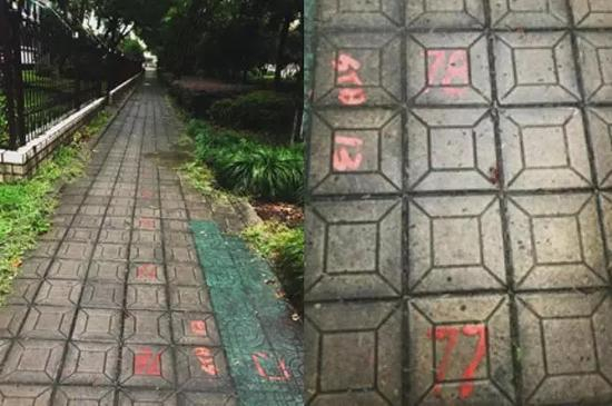 （如今，这些编号在浙大求是村还能看见）