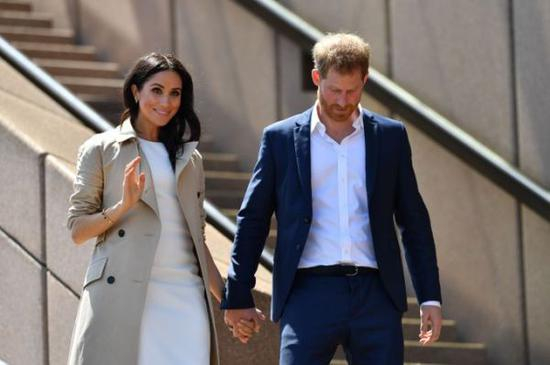 哈里王子和妻子梅根（图片来自《今日美国报》网站）