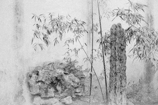 《石形竹影》