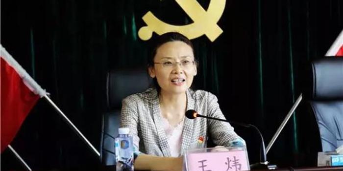 王炜已升任安徽省委组织部正厅级副部长(图/简历)