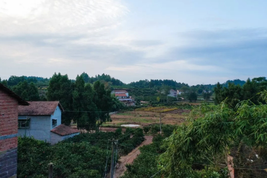 　▲李欢家周围的情况。新京报记者 党元悦&nbsp;摄