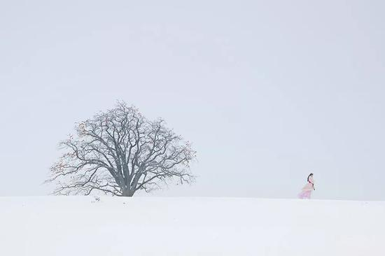 《落雪听禅》