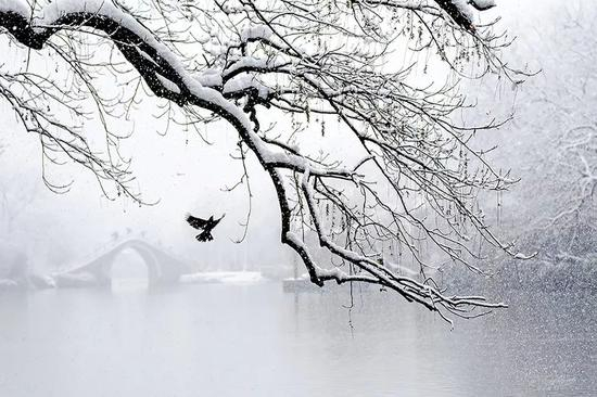 《雪中寻觅》
