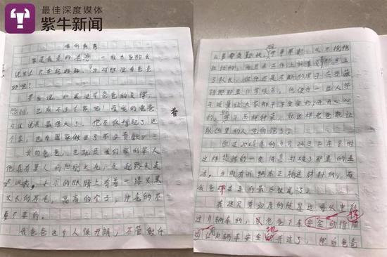 胡博文的作文《我的爸爸》