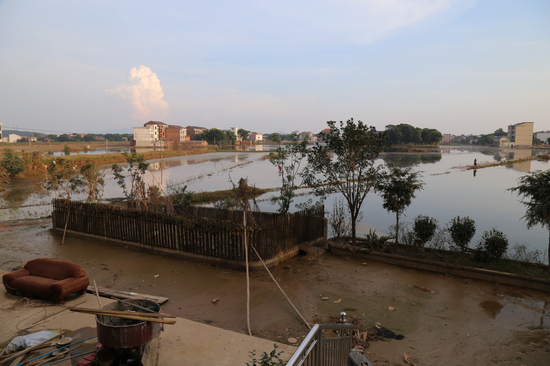 杨梓坪村大量农田被淹没。 本报记者 郝成 摄影