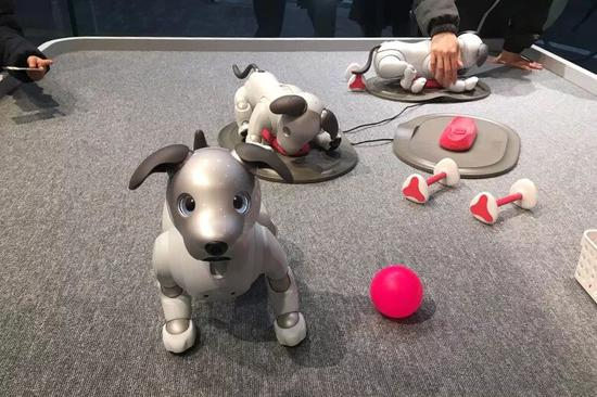　　由索尼公司开发研制的机器狗“AIBO”颇受消费者青睐，AIBO搭载了人工智能，可以主动接近人，并发出狗的叫声。