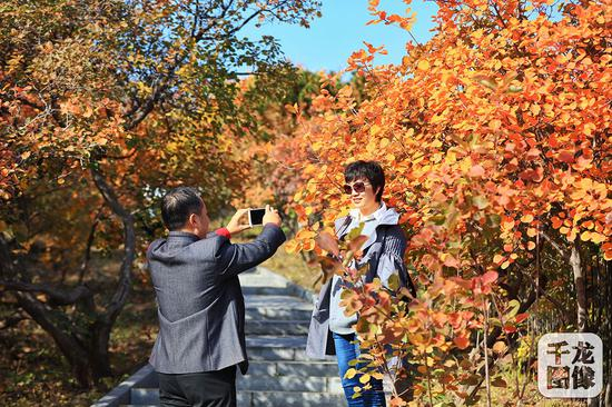 西山国家森林公园&nbsp;千龙网记者 陈健男 摄