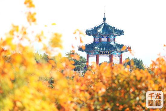 西山国家森林公园&nbsp;千龙网记者 陈健男 摄