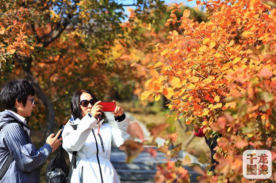 西山国家森林公园&nbsp;千龙网记者 陈健男 摄